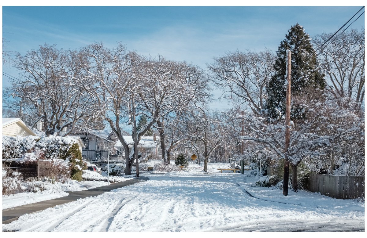 snowy victoria street