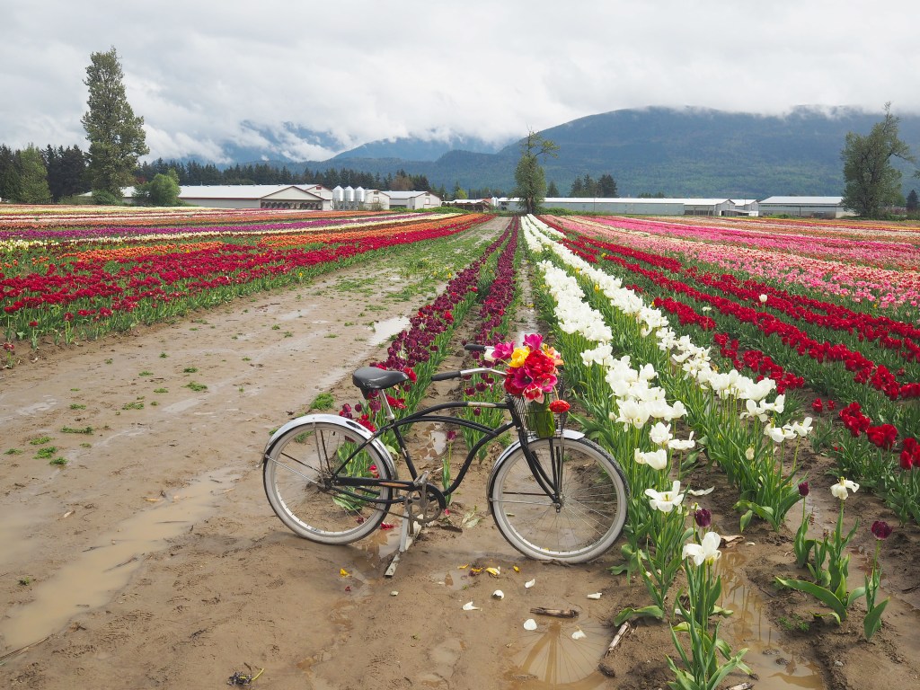 botanica flower festival bicycle