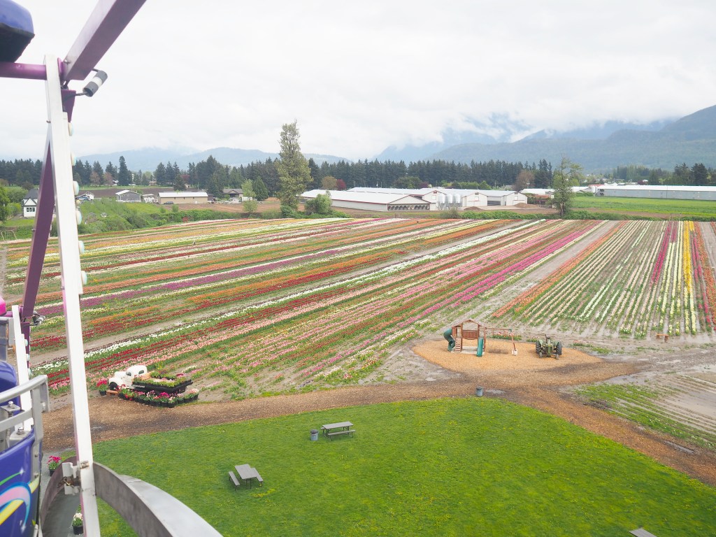 botanica flower festival birds-eye