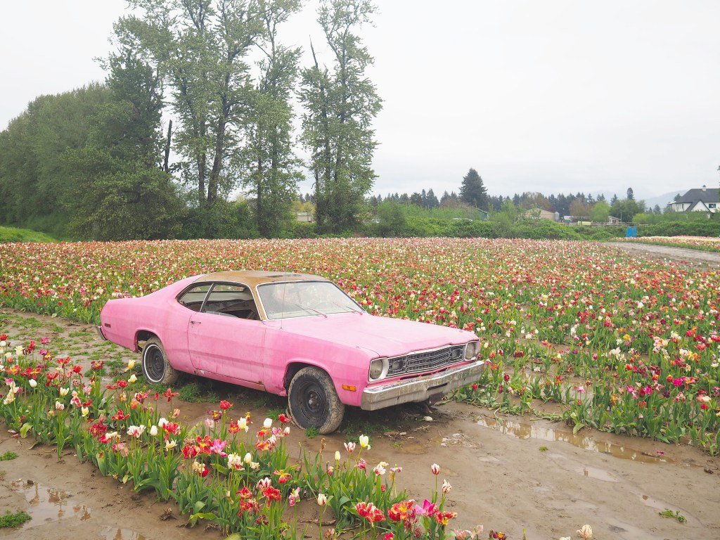 botanica flower festival car