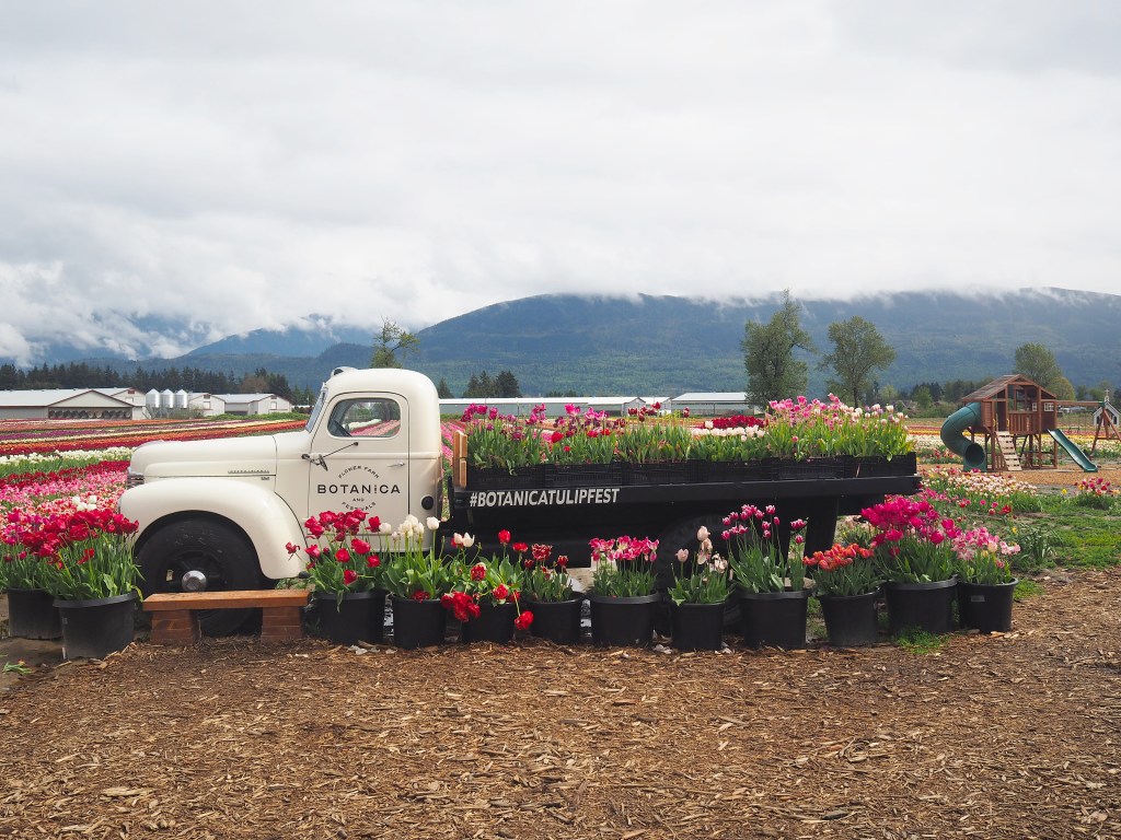 botanica flower festival pickup