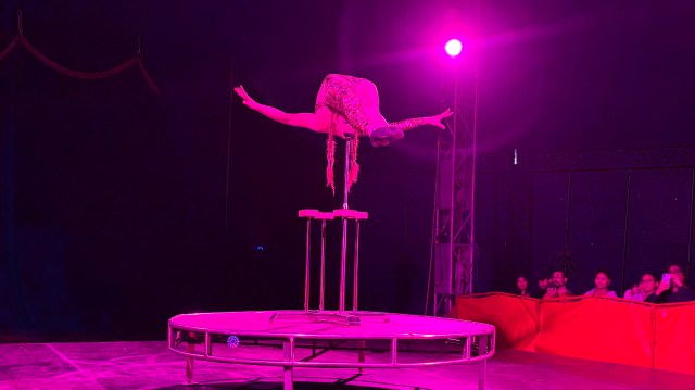 contortionist
